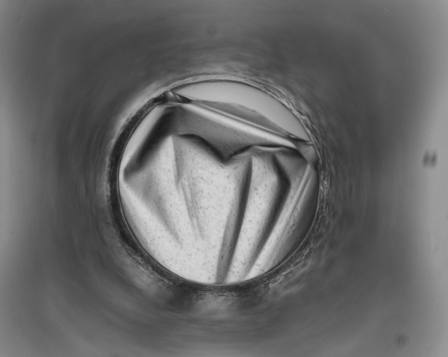 X0000096980248200802291152