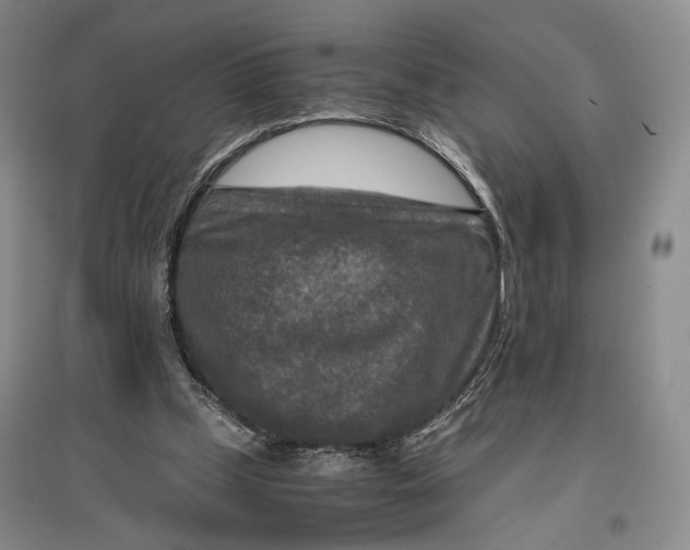 X0000096980249200802291152