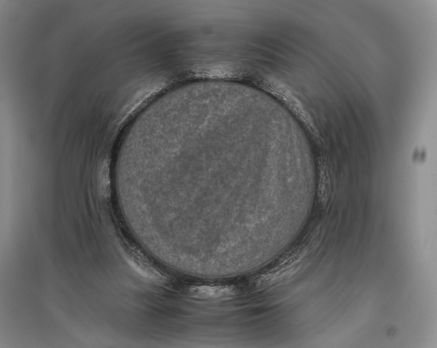 X0000096980251200802291152