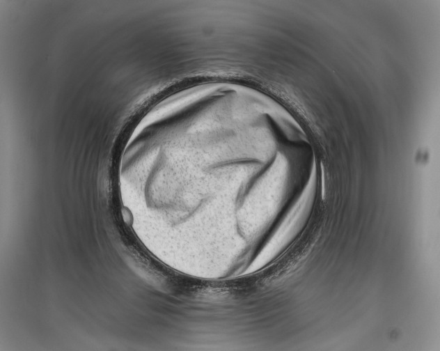 X0000096980252200802291152