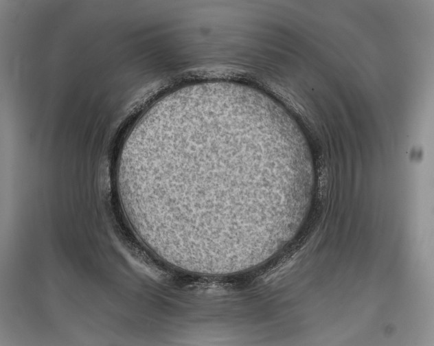 X0000096980254200802291152