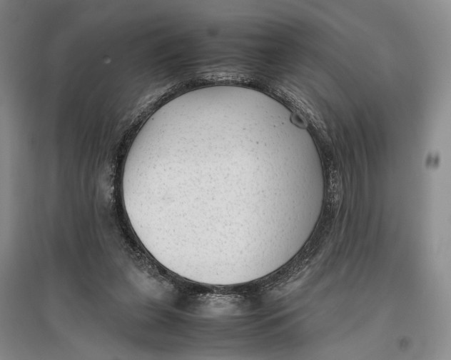 X0000096980255200802291152