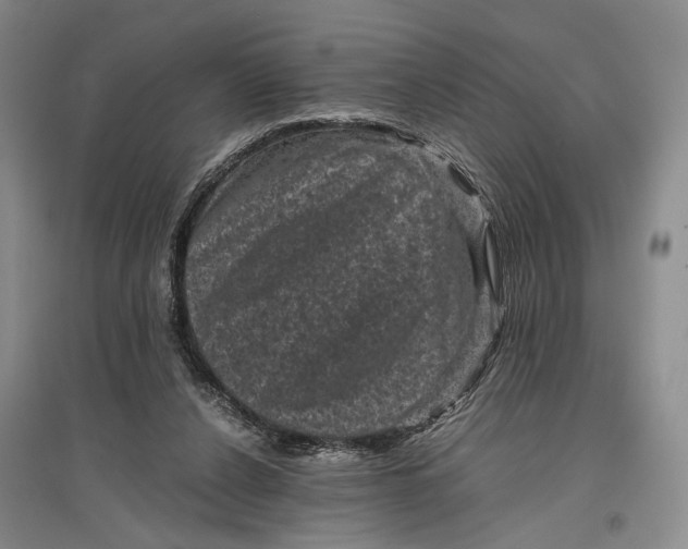 X0000096980256200802291152