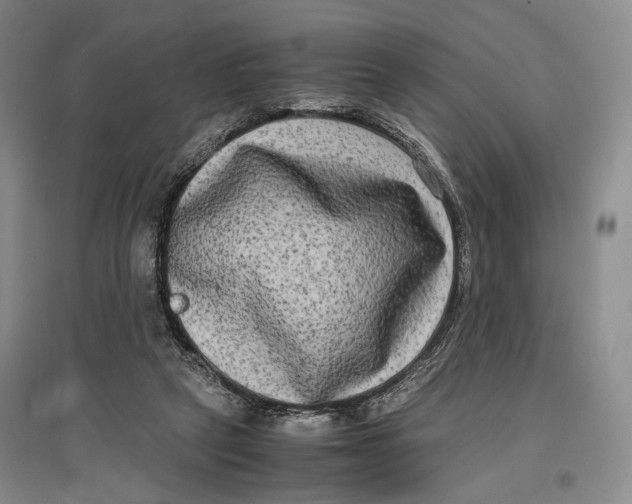 X0000096980257200802291153