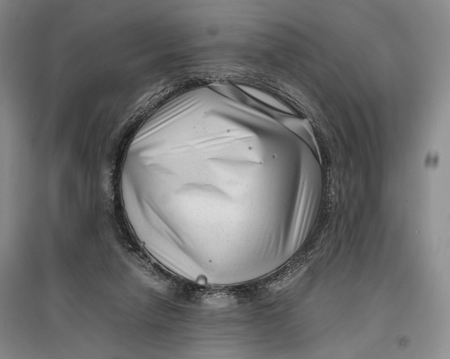 X0000096980258200802291153