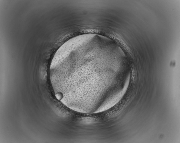 X0000096980259200802291153