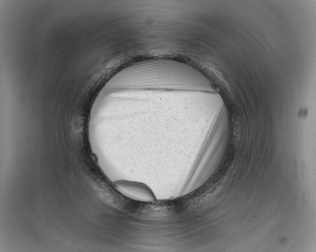 X0000096980260200802291153