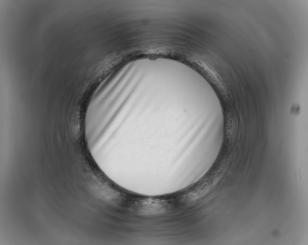 X0000096980261200802291153