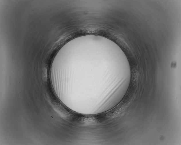 X0000096980262200802291153