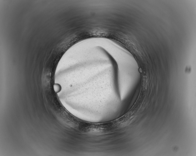 X0000096980263200802291153