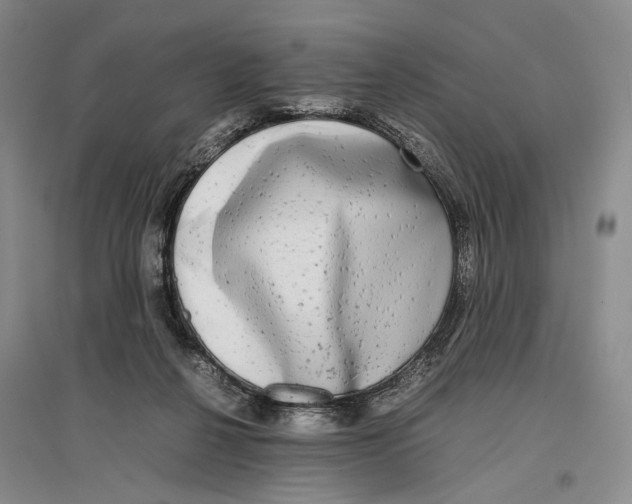 X0000096980264200802291153