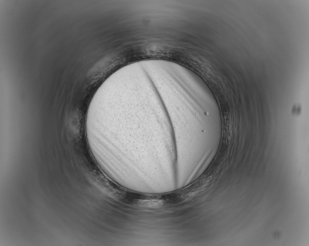 X0000096980266200802291153