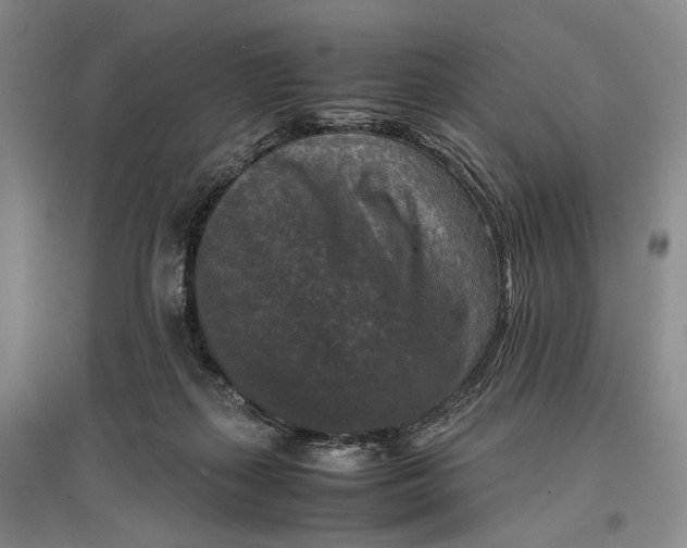 X0000096980267200802291153