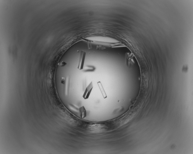 X0000096980269200802291153