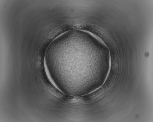 X0000096980270200802291153