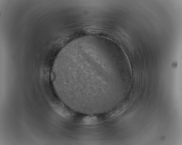 X0000096980271200802291153