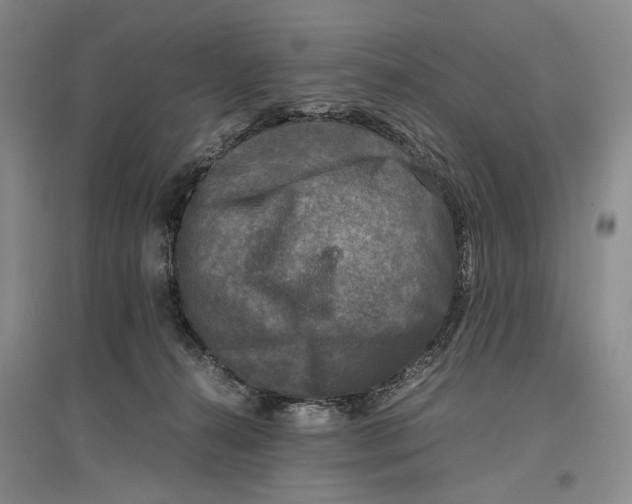 X0000096980272200802291153