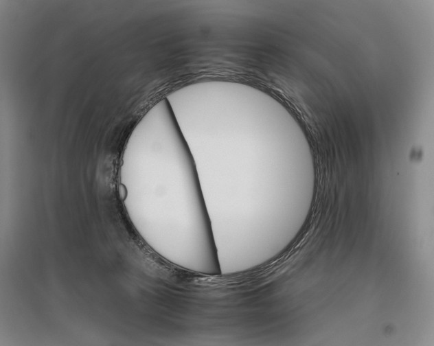 X0000096980273200802291153