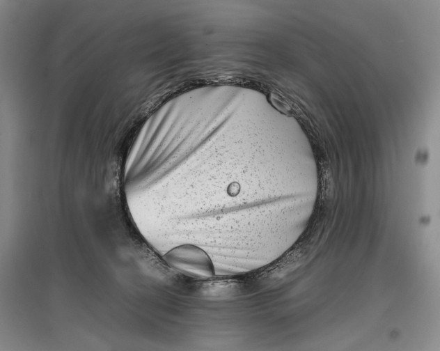 X0000096980274200802291153