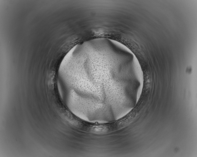 X0000096980275200802291153