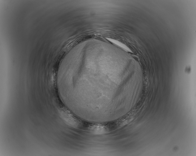 X0000096980276200802291153