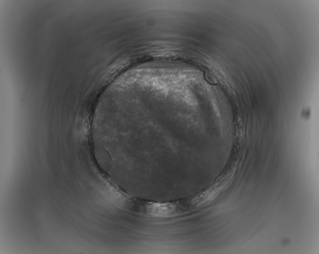 X0000096980277200802291153