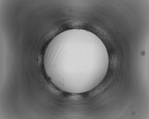 X0000096980278200802291153