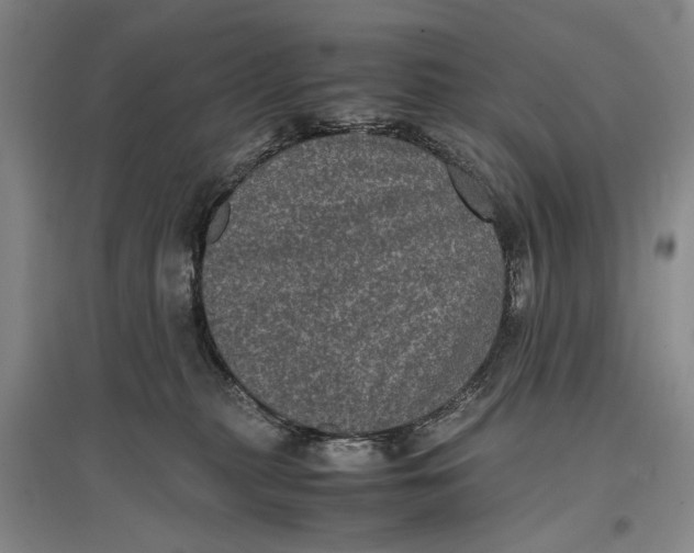 X0000096980279200802291153