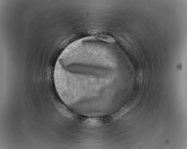 X0000096980280200802291153