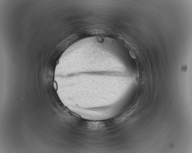 X0000096980281200802291153