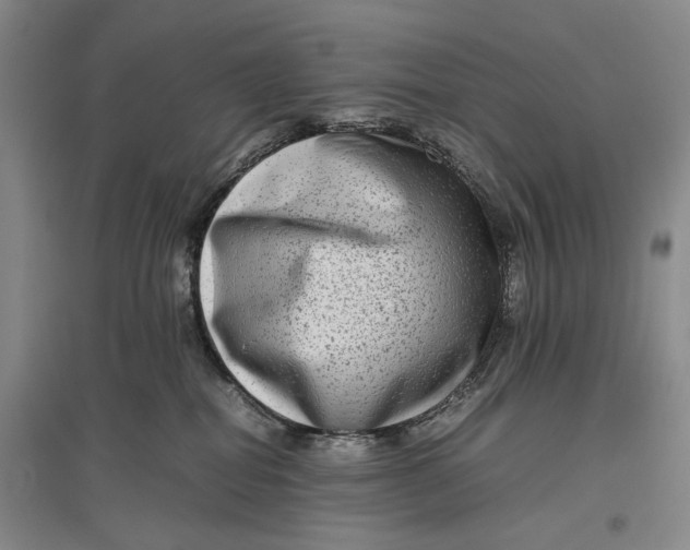 X0000096980282200802291153