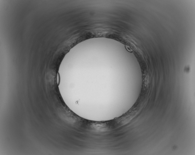 X0000096980283200802291153