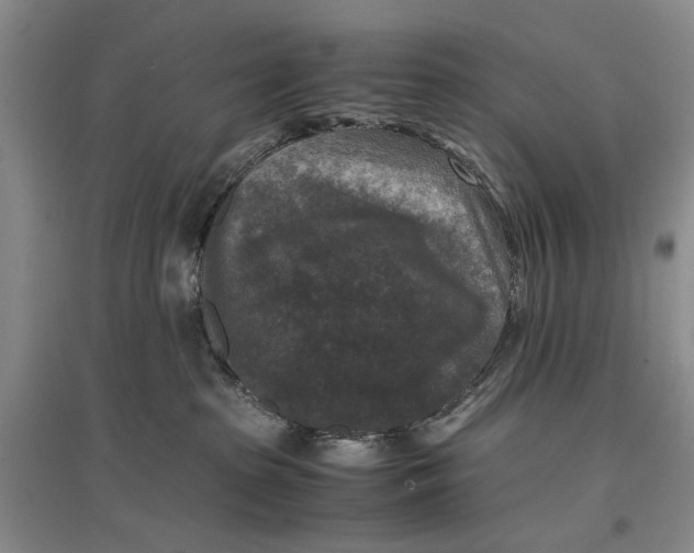 X0000096980285200802291153