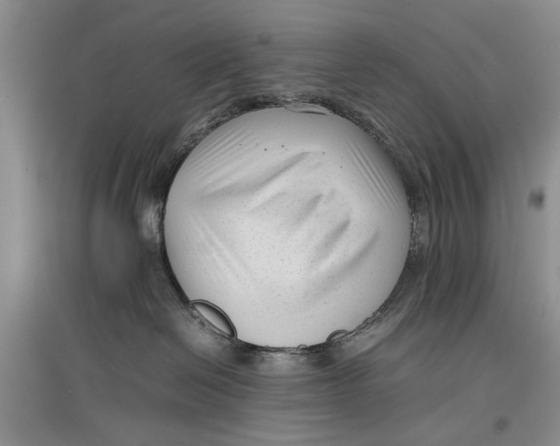 X0000096980286200802291153