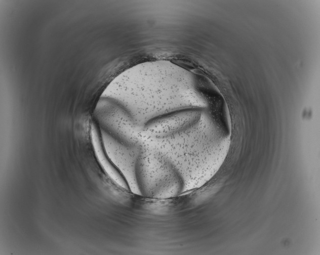 X0000096980288200802291153