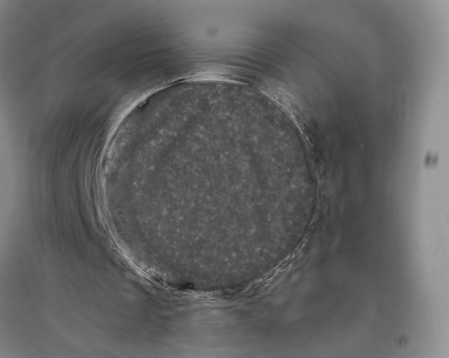 X0000096980289200802291152