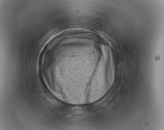 X0000096980290200802291152