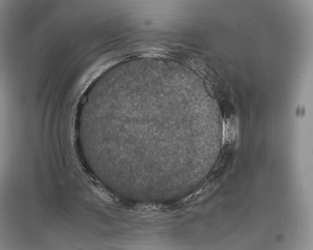 X0000096980291200802291152