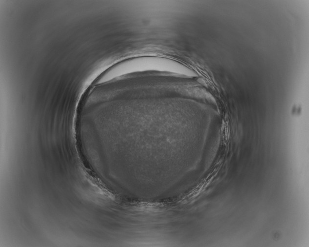 X0000096980292200802291152