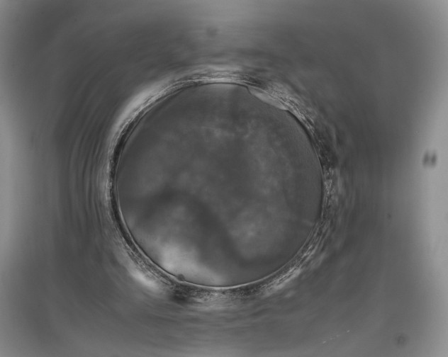 X0000096980293200802291152