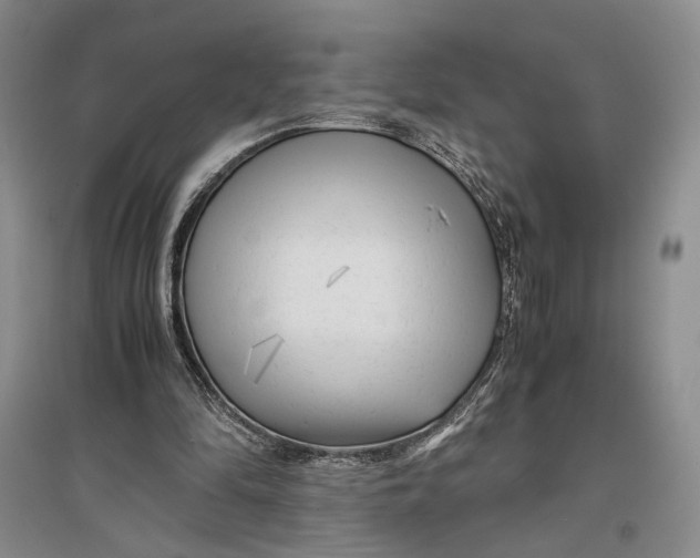 X0000096980294200802291152