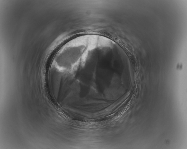 X0000096980295200802291152