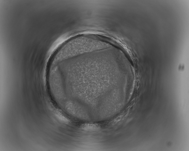 X0000096980296200802291152