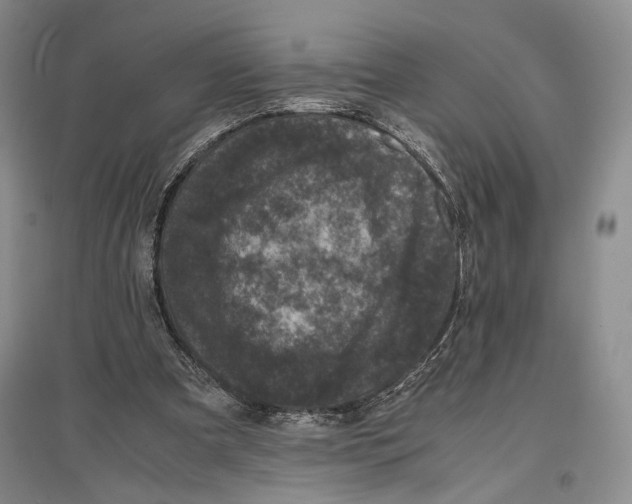 X0000096980297200802291152