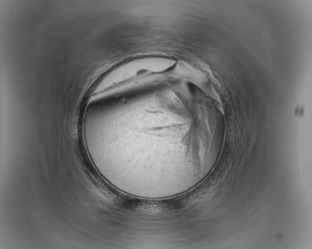 X0000096980299200802291152