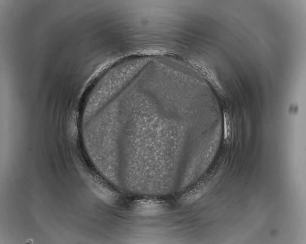 X0000096980300200802291152