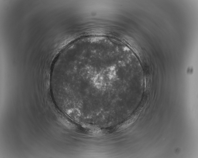 X0000096980301200802291152