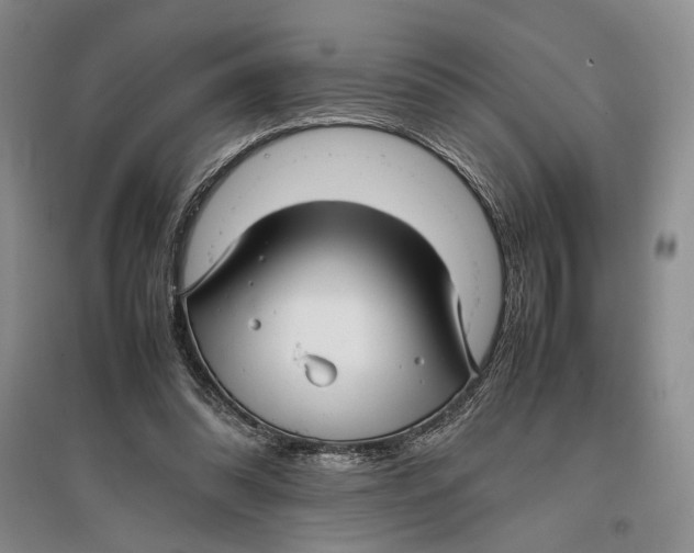 X0000096980302200802291152