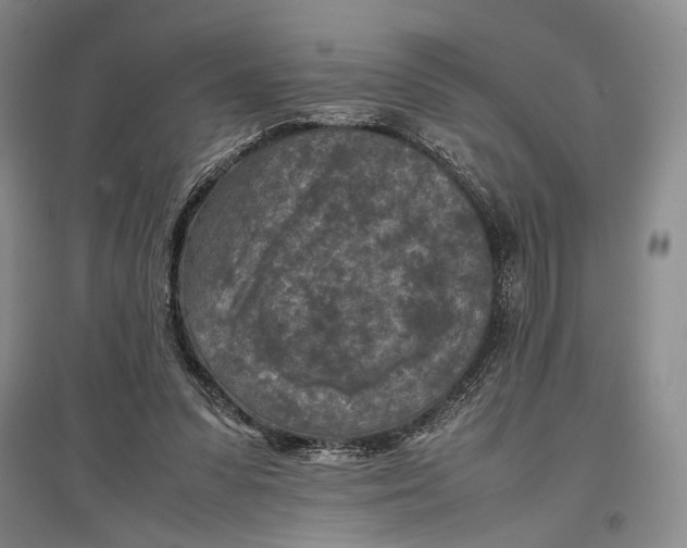 X0000096980303200802291152