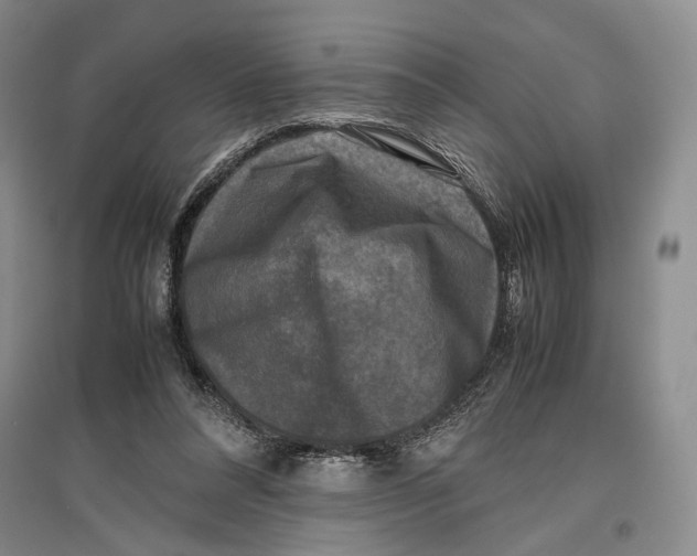 X0000096980304200802291152